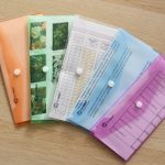 Irattartó tasak DL 'csekk' patentos PP Bluering® transzparens zöld