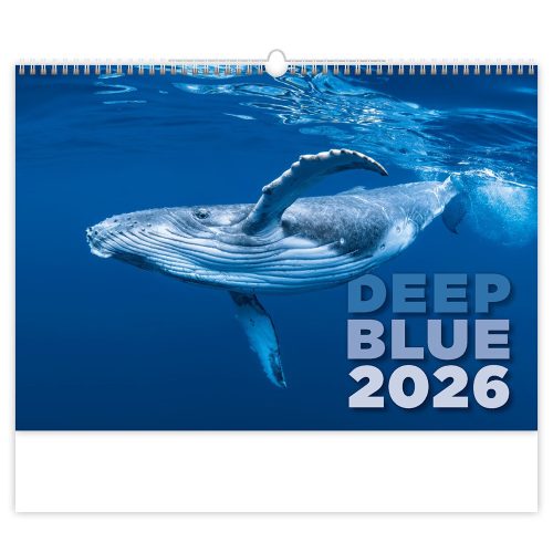 Falinaptár képes 315 × 450 mm Deep Blue Dayliner 2026.