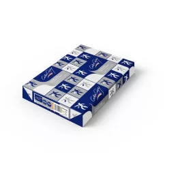   Másolópapír, digitális SRA3, 250g, mázolt, fényes Color Copy Coated glossy 125ív/csomag,