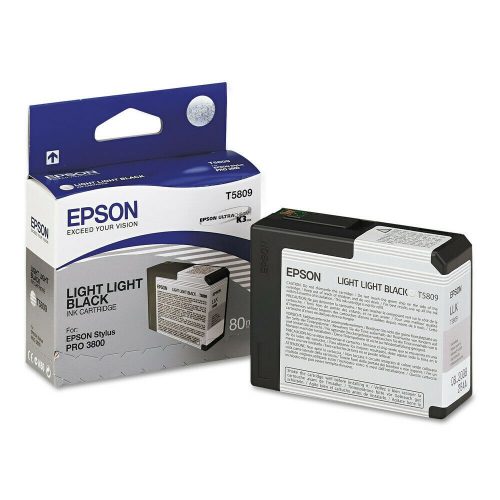 Epson T5809 tintapatron light black ORIGINAL