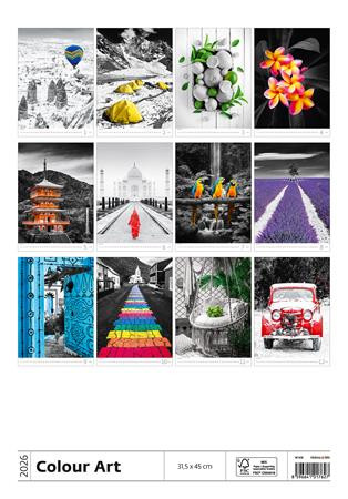 Naptár, fali, DAYLINER "Colour Art"
