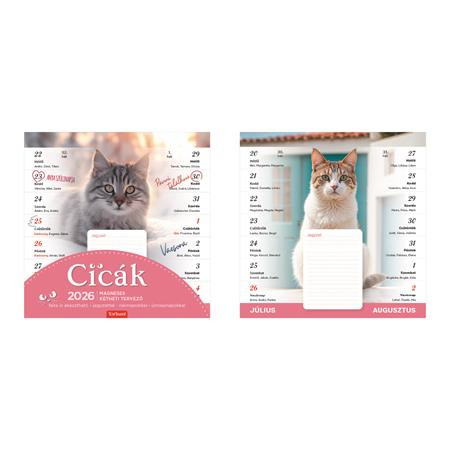 Image of Naptár, fali, mágneses, kétheti, TOPTIMER, cicák